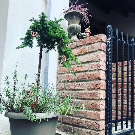 Апартаменты Kovacska *