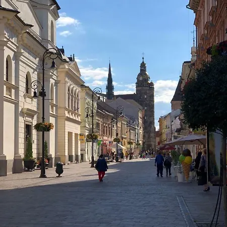 Kovacska Апартаменты